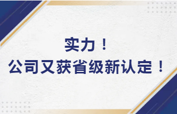 實力！公司又獲省級新認定