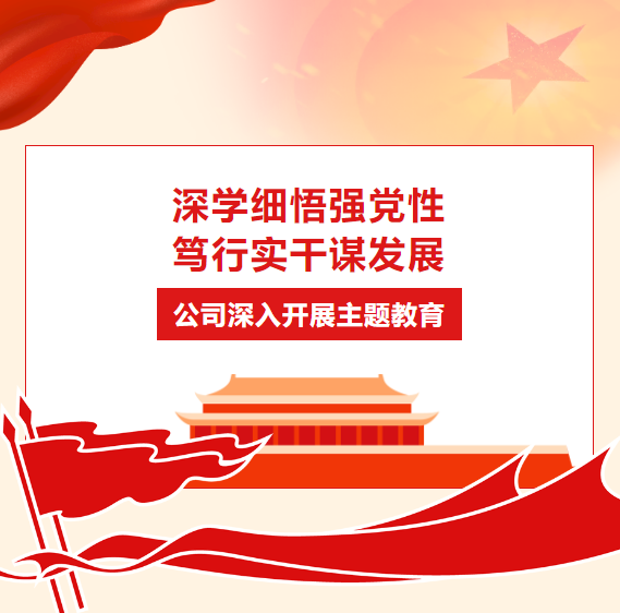深學細悟強黨性 篤行實干謀發(fā)展 | 公司深入開展主題教育